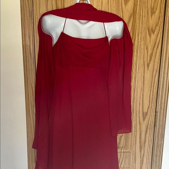 Michaelangelo Scarlet lined gown with scarf size 2 - Picture 2 of 9